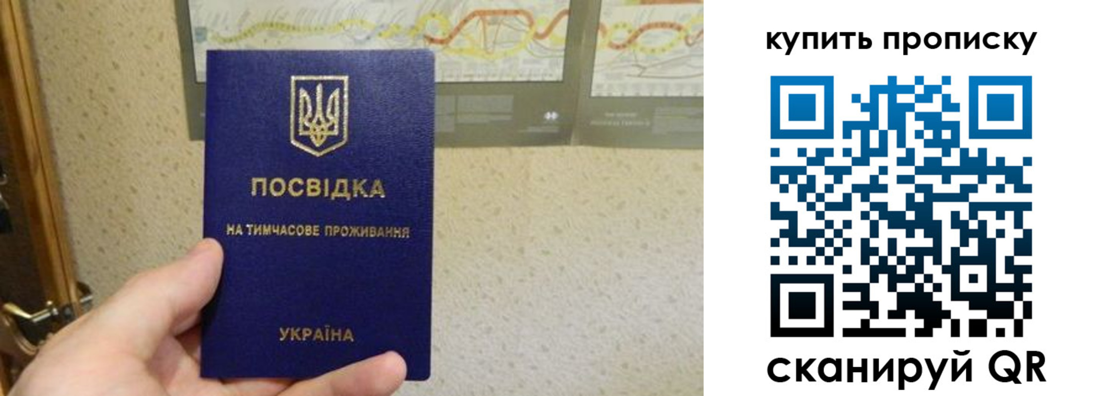 временная регистрация поиск в Электрогорске